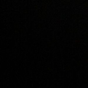 Meet your Posher, Larry